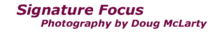 Signature Focus - Nature by Design